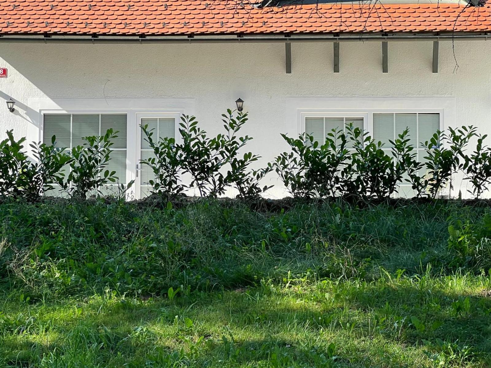 Centralpark Suites Maribor Eksteriør billede